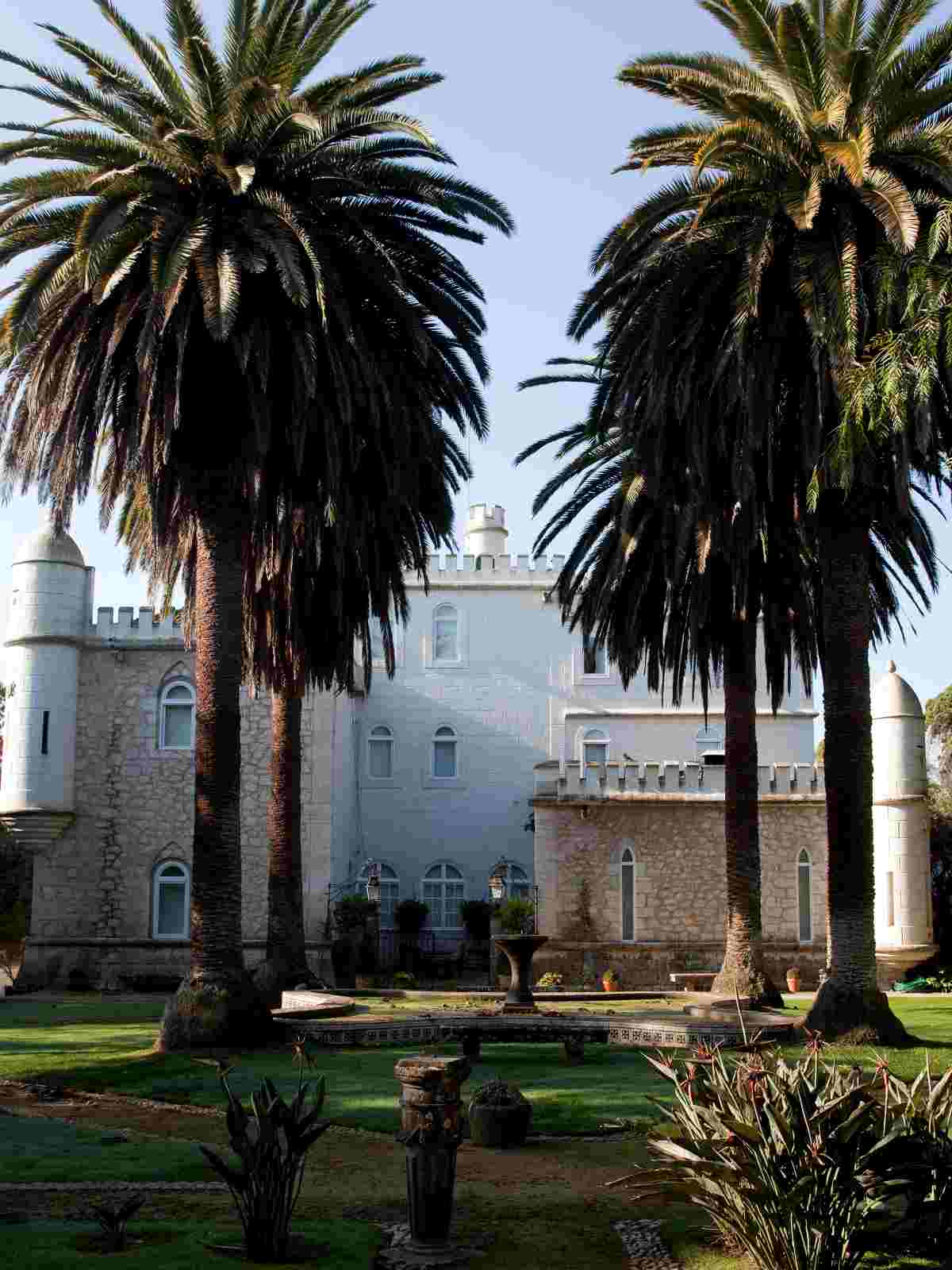 Azeites com História